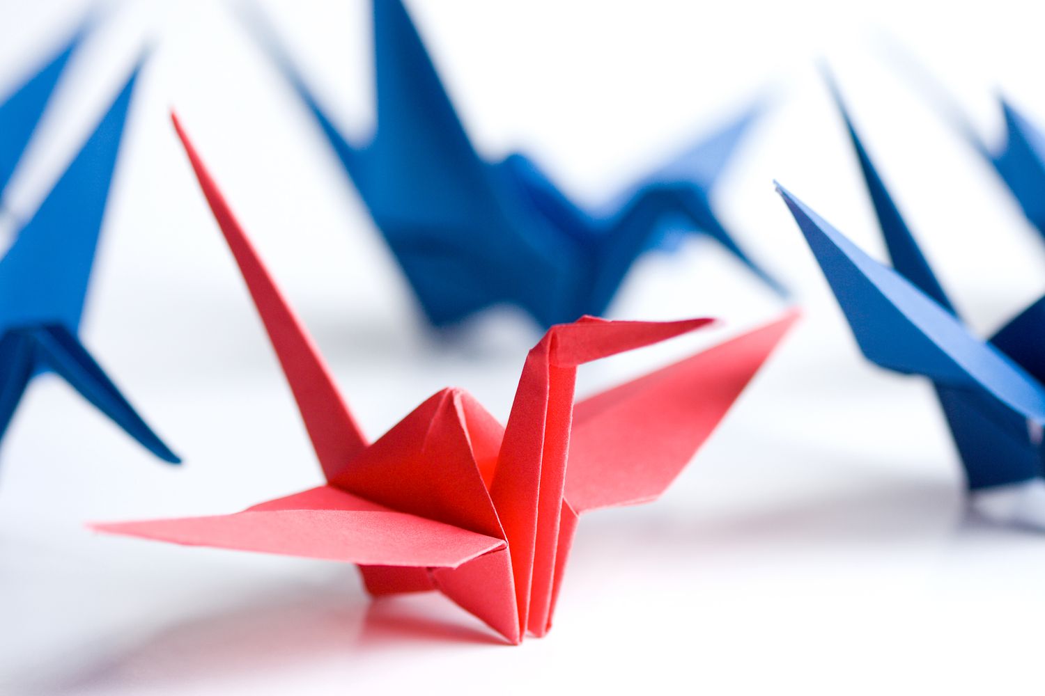 Origami Crane with white background